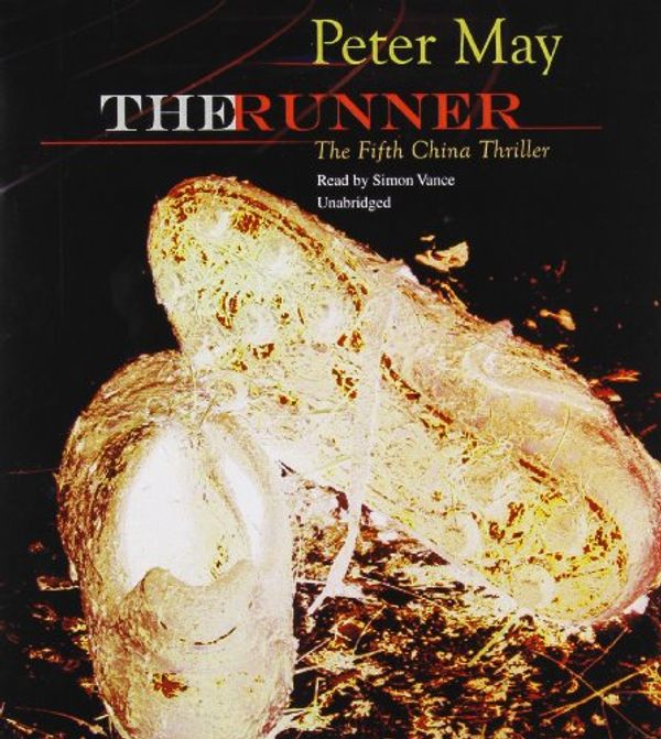 Cover Art for 9781441725578, The Runner by Peter May