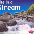 Cover Art for 9780736834049, Life in a Stream by Carol K Lindeen