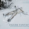 Cover Art for 9781608875511, Figure Fantasy: The Pop Culture Photography of Daniel Picard by Daniel Picard