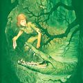 Cover Art for 9780448095554, Mystery of Crocodile Island by Carolyn Keene