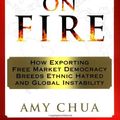 Cover Art for 9780385503020, A World of Fire by Amy Chua
