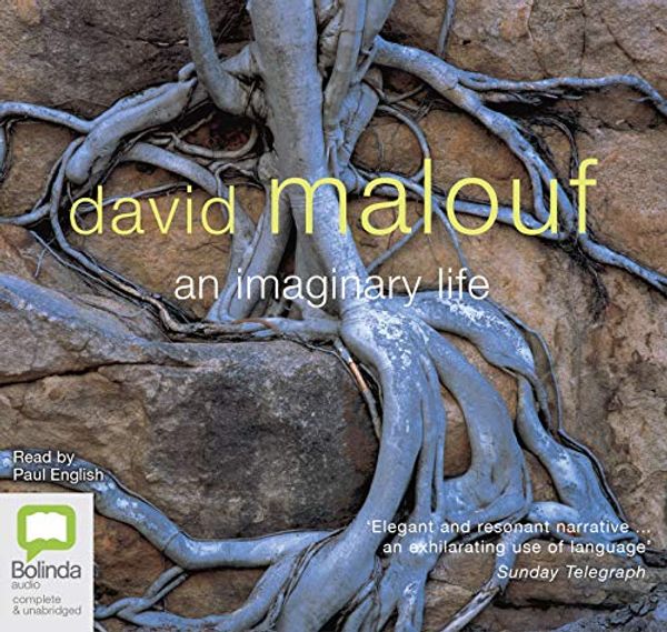 Cover Art for 9780655603931, An Imaginary Life by David Malouf