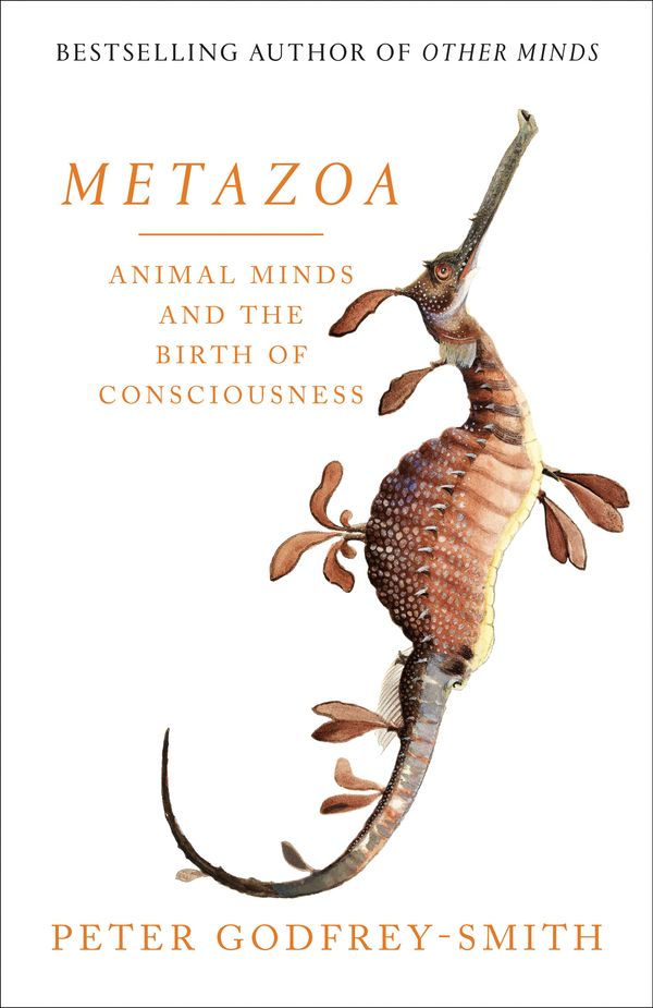 Cover Art for 9780008321192, Metazoa: Animal Minds and the Birth of Consciousness by Peter Godfrey-Smith