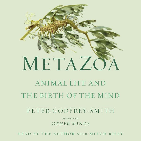 Cover Art for 9781250770080, Metazoa by Peter Godfrey-Smith