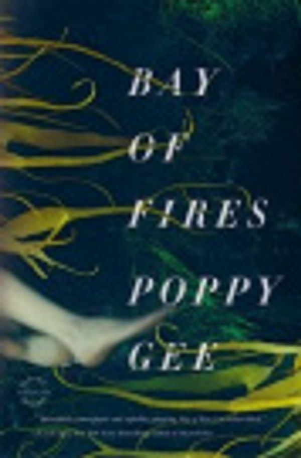 Cover Art for 9780316215954, Bay of Fires by Poppy Gee