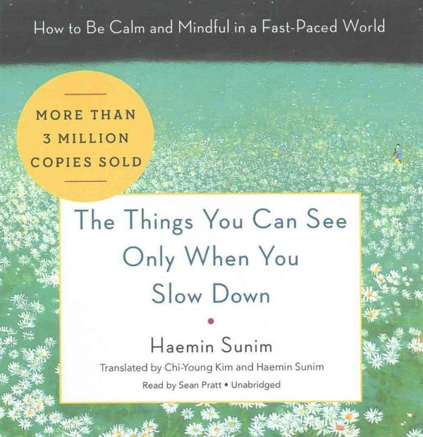 Cover Art for 9781538408520, The Things You Can See Only When You Slow Down by Haemin Sunim