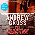 Cover Art for 9780061727573, The Dark Tide by Andrew Gross