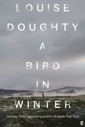 Cover Art for 9780571322176, A Bird in Winter: Louise Doughty by Louise Doughty