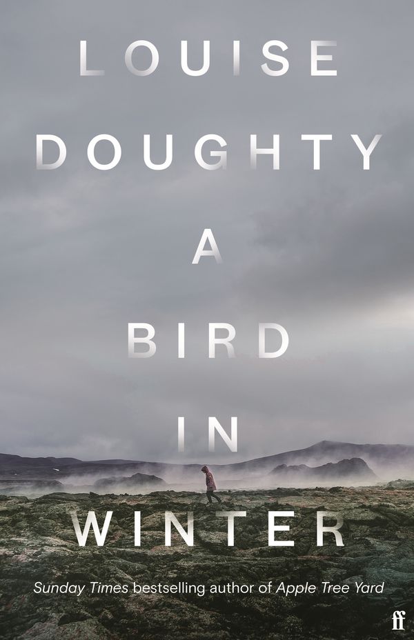 Cover Art for 9780571322176, A Bird in Winter: Louise Doughty by Louise Doughty
