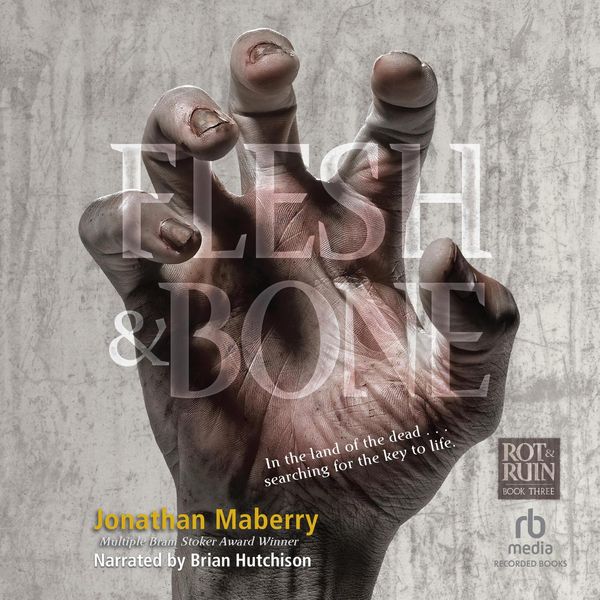 Cover Art for 9781490601342, Flesh & Bone by Jonathan Maberry