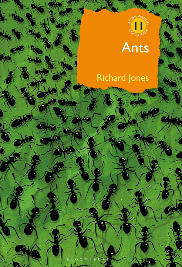 Cover Art for 9781472964861, Ants (British Wildlife Collection) by Richard Jones
