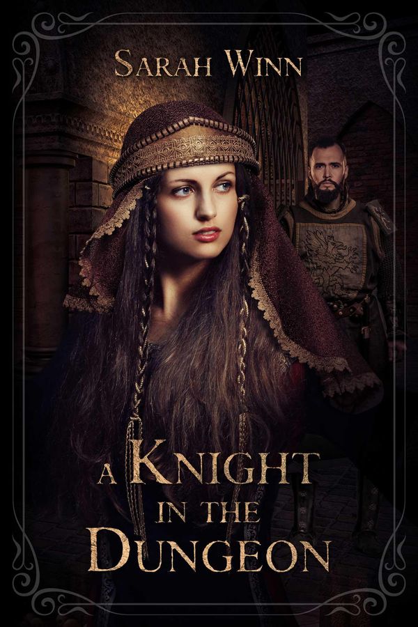 Cover Art for 9781593744588, A Knight in the Dungeon by Sarah Winn