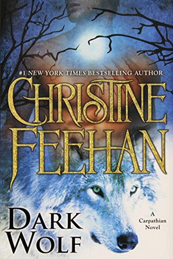 Cover Art for 9780425270790, Dark Wolf by Christine Feehan