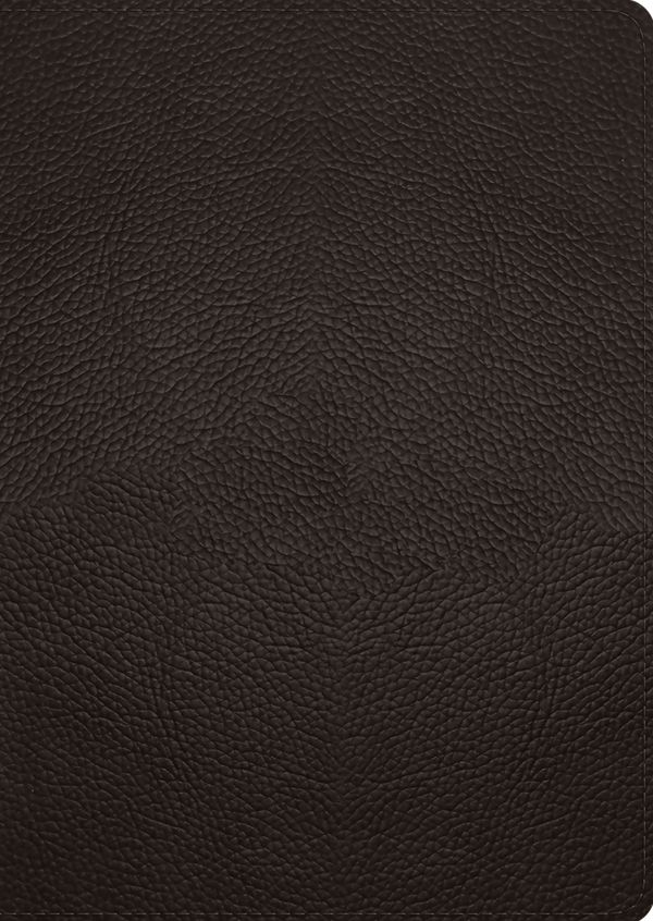 Cover Art for 9781433587078, ESV Study Bible, Large Print (Buffalo Leather, Deep Brown) by ESV Bibles by Crossway