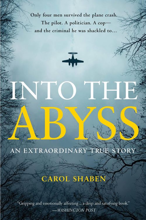 Cover Art for 9781455545629, Into the Abyss by Carol Shaben