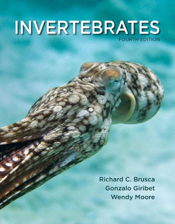 Cover Art for 9780197554418, Invertebrates by Richard C. Brusca