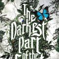 Cover Art for 9780316213059, The Darkest Part of the Forest by Holly Black