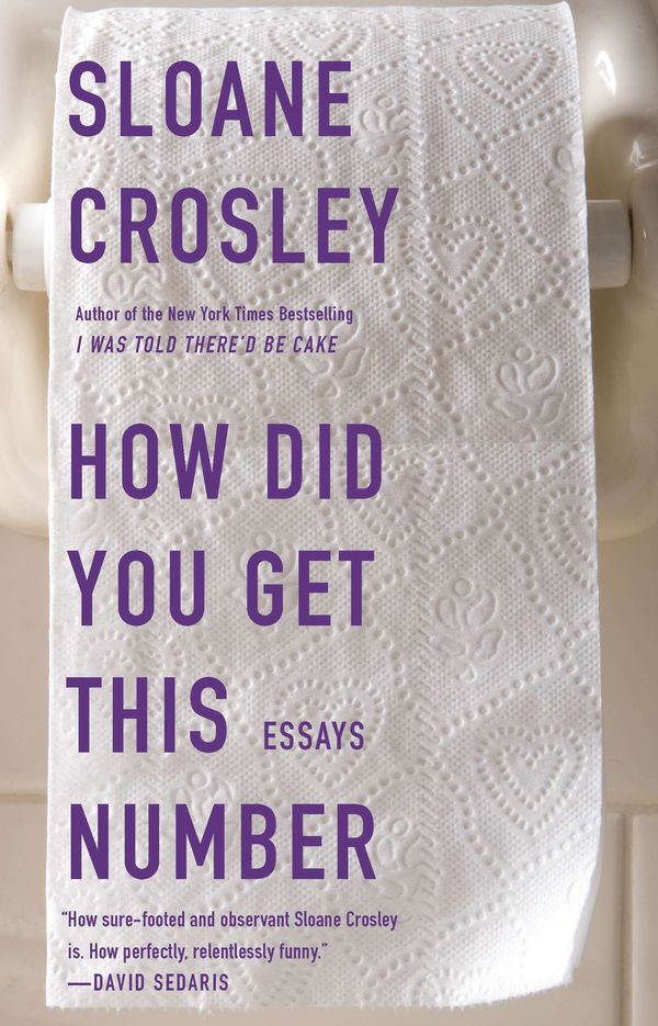 Cover Art for 9781594485190, How Did You Get This Number by Sloane Crosley