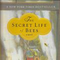 Cover Art for 9780756921194, The Secret Life of Bees by Sue Monk Kidd