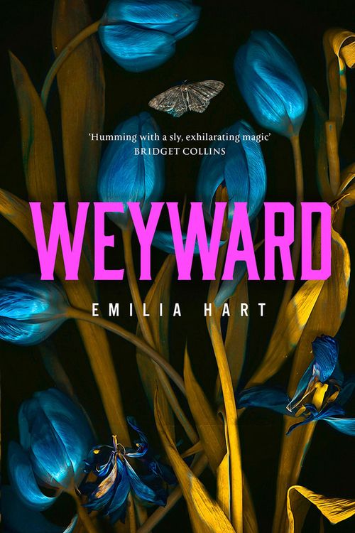 Cover Art for 9780008499099, Weyward by Emilia Hart