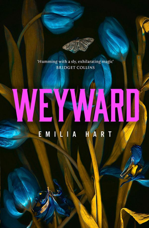 Cover Art for 9780008499099, Weyward by Emilia Hart