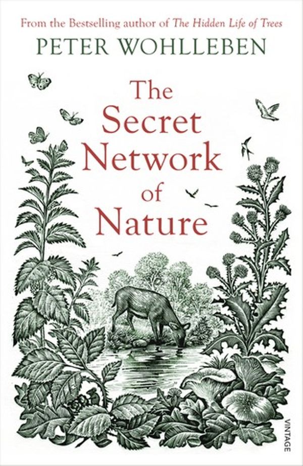 Cover Art for 9781473555853, The Secret Network of Nature: The Delicate Balance of All Living Things by Peter Wohlleben