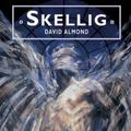 Cover Art for 9780435125141, Skellig by David Almond