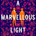 Cover Art for 9781529080896, A Marvellous Light by Freya Marske