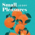 Cover Art for 9791195212392, Small Pleasures by Clare Chambers