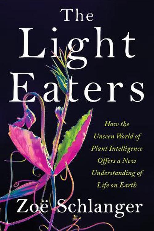 Cover Art for 9780063073852, The Light Eaters by Zoë Schlanger