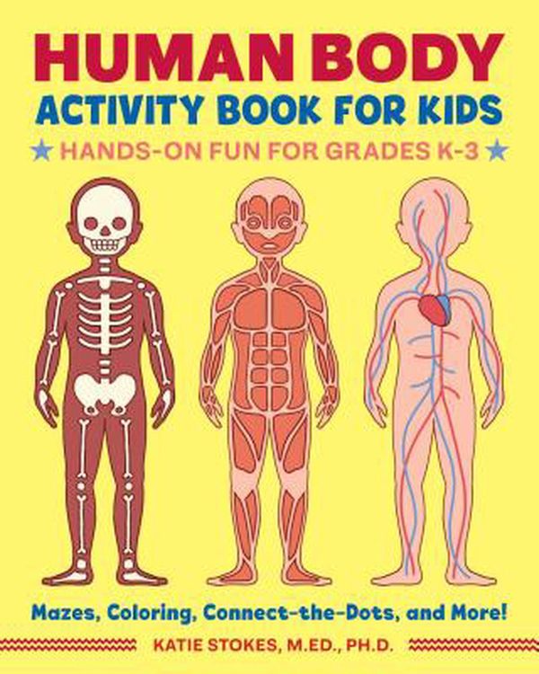 Cover Art for 9781641522632, Human Body Activity Book for Kids: Hands-On Fun for Grades K-3 by Katie Stokes
