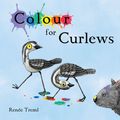 Cover Art for 9781925563320, Colour for Curlews by Renee Treml