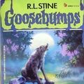 Cover Art for 9780590628358, Goosebumps Boxed Set, Books 13 - 16: Piano Lessons Can Be Murder, The Werewolf of Fever Swamp, You Can't Scare Me!, and One Day at HorrorLand by R L Stine