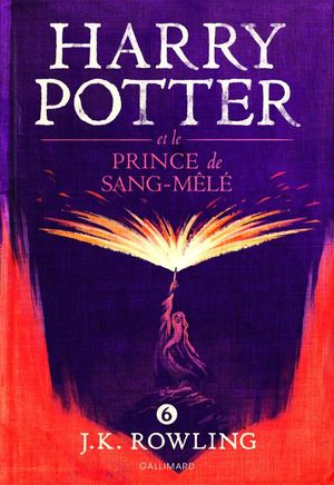Cover Art for 9782070624904, Harry Potter, VI : Harry Potter et le Prince de Sang-Mêlé by J. K. Rowling, Jean-François Ménard (Traduction)