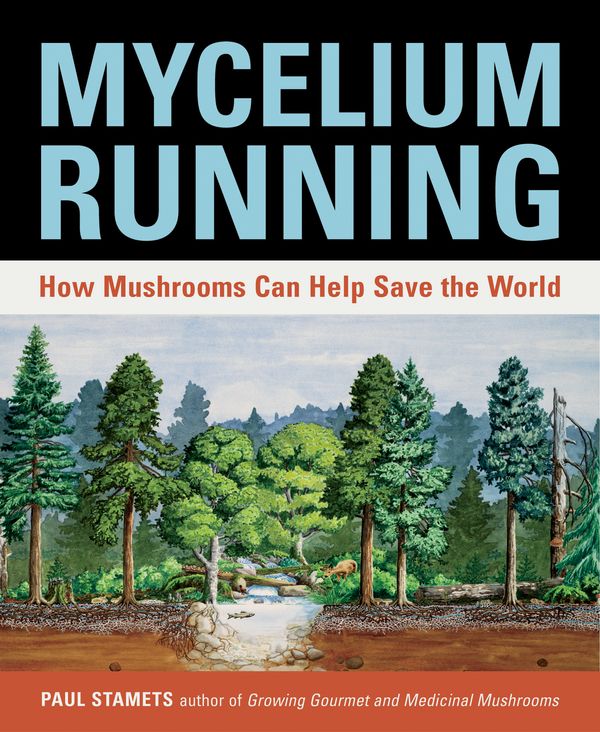 Cover Art for 9781580085793, Mycelium Running by Paul Stamets
