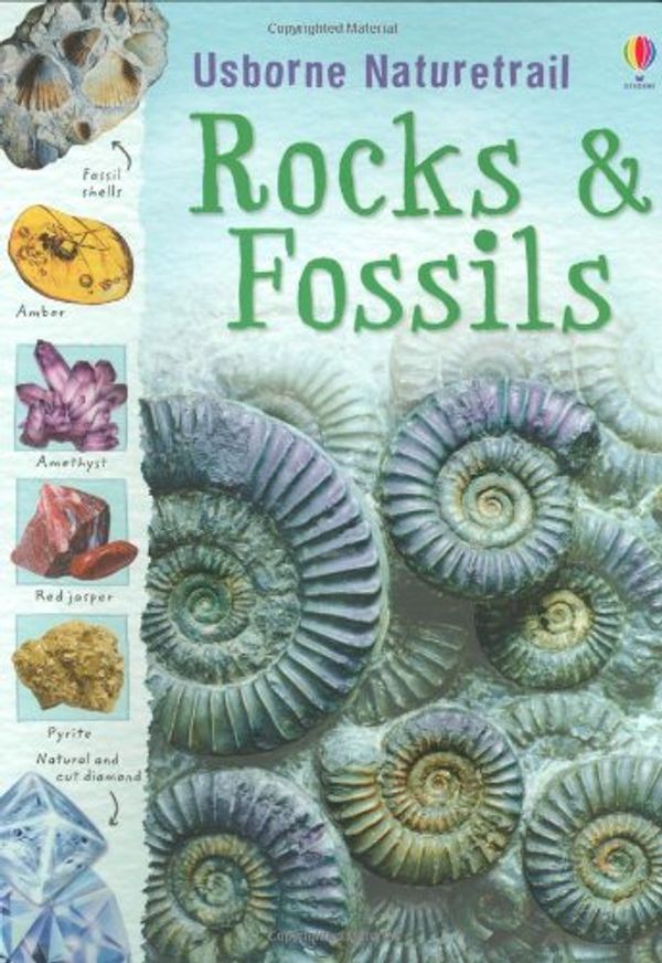 Cover Art for 9780746096338, Rocks, Minerals and Fossils by Struan Reid, Brin Edwards
