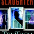Cover Art for 9780385339469, Triptych by Karin Slaughter
