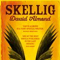 Cover Art for 9780340944950, Skellig by David Almond