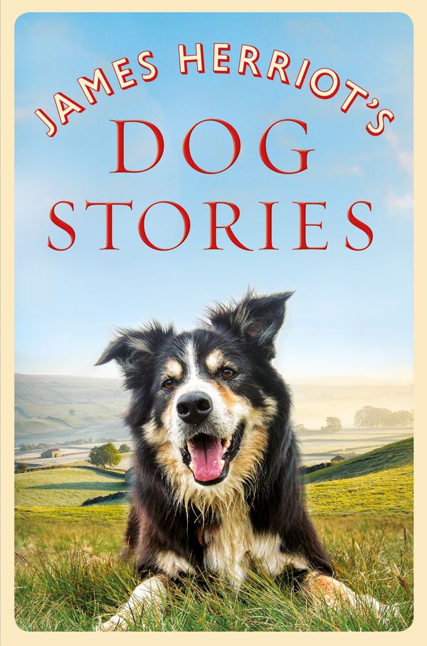 Cover Art for 9781529023619, James Herriot's Dog Stories by James Herriot