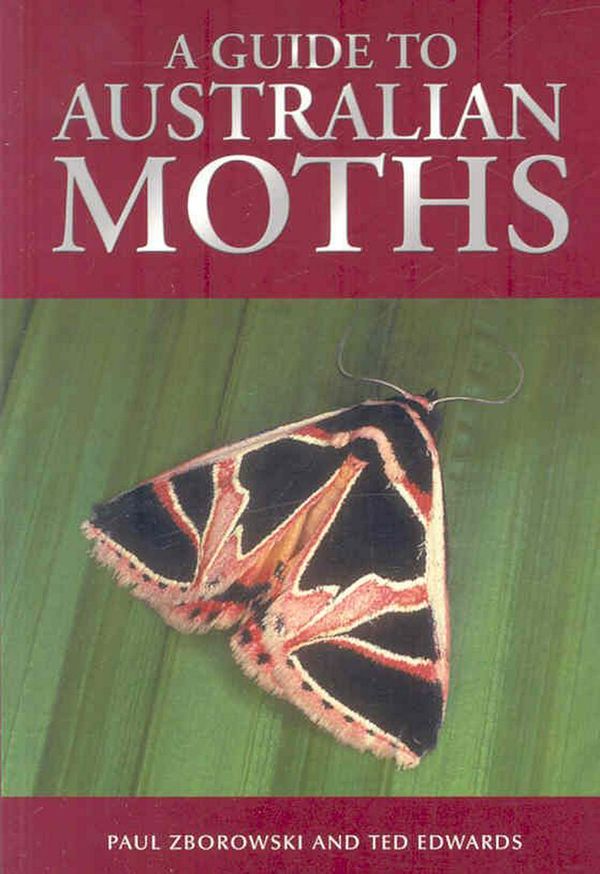 Cover Art for 9780643091597, A Guide to Australian Moths by Paul Zborowski, Ted Edwards