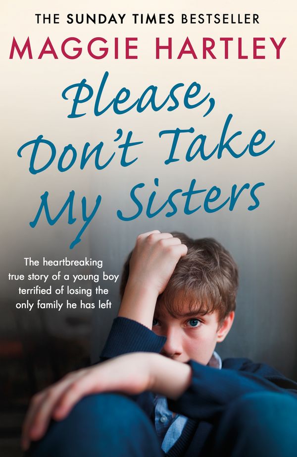 Cover Art for 9781409188995, Please Don't Take My Sisters by Maggie Hartley