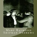 Cover Art for 9781517762315, Joy in the Morning by Mary Raymond Shipman Andrews