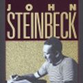 Cover Art for 9781440667008, Working Days by John Steinbeck