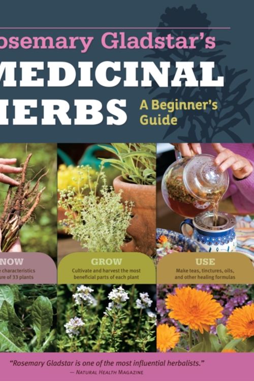 Cover Art for 9781612120058, The Beginner's Guide to Medicinal Herbs by Rosemary Gladstar