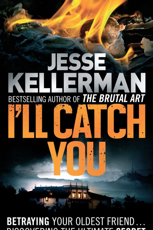 Cover Art for 9780751545104, I'll Catch You by Jesse Kellerman