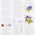 Cover Art for 9780321683229, Study Card for Campbell Biology by Jane B. Reece, Lisa A. Urry, Michael L. Cain, Steven A. Wasserman, Peter V. Minorsky, Robert B. Jackson