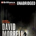 Cover Art for 9781611061925, Burnt Sienna by David Morrell
