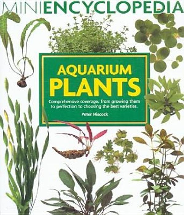 Cover Art for 9781842861042, Mini Encyclopedia Aquarium Plants by Peter Hiscock
