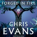 Cover Art for 9781400108367, A Darkness Forged in Fire by Chris Evans