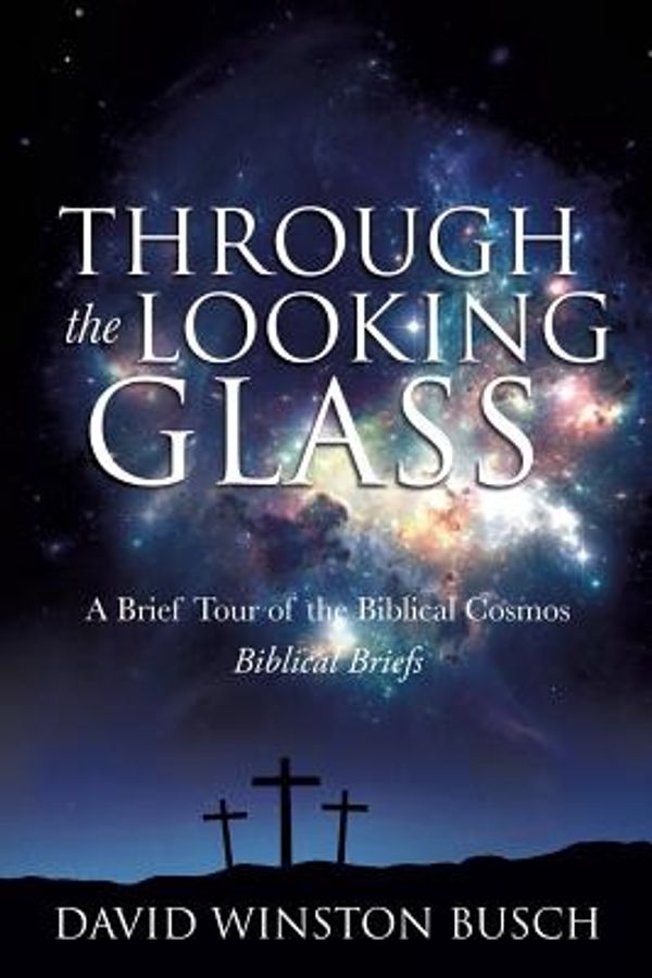 Cover Art for 9781628718980, Through the Looking Glass by David Winston Busch
